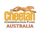 Cheetah Conservation Fund Australia logo